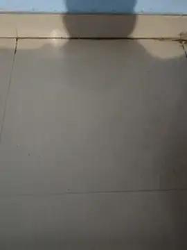 tanishkabby