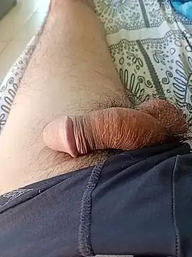 tio_52