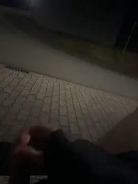 vollesmett28