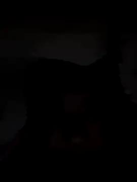 vulgovic_