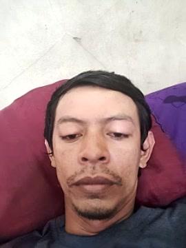 zals87